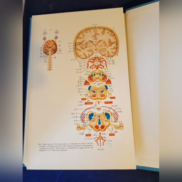 Illustrated Manual of Neurologic Diagnosis by R. Douglas Collins (HC/DJ) 2nd Ed - Picture 8 of 14